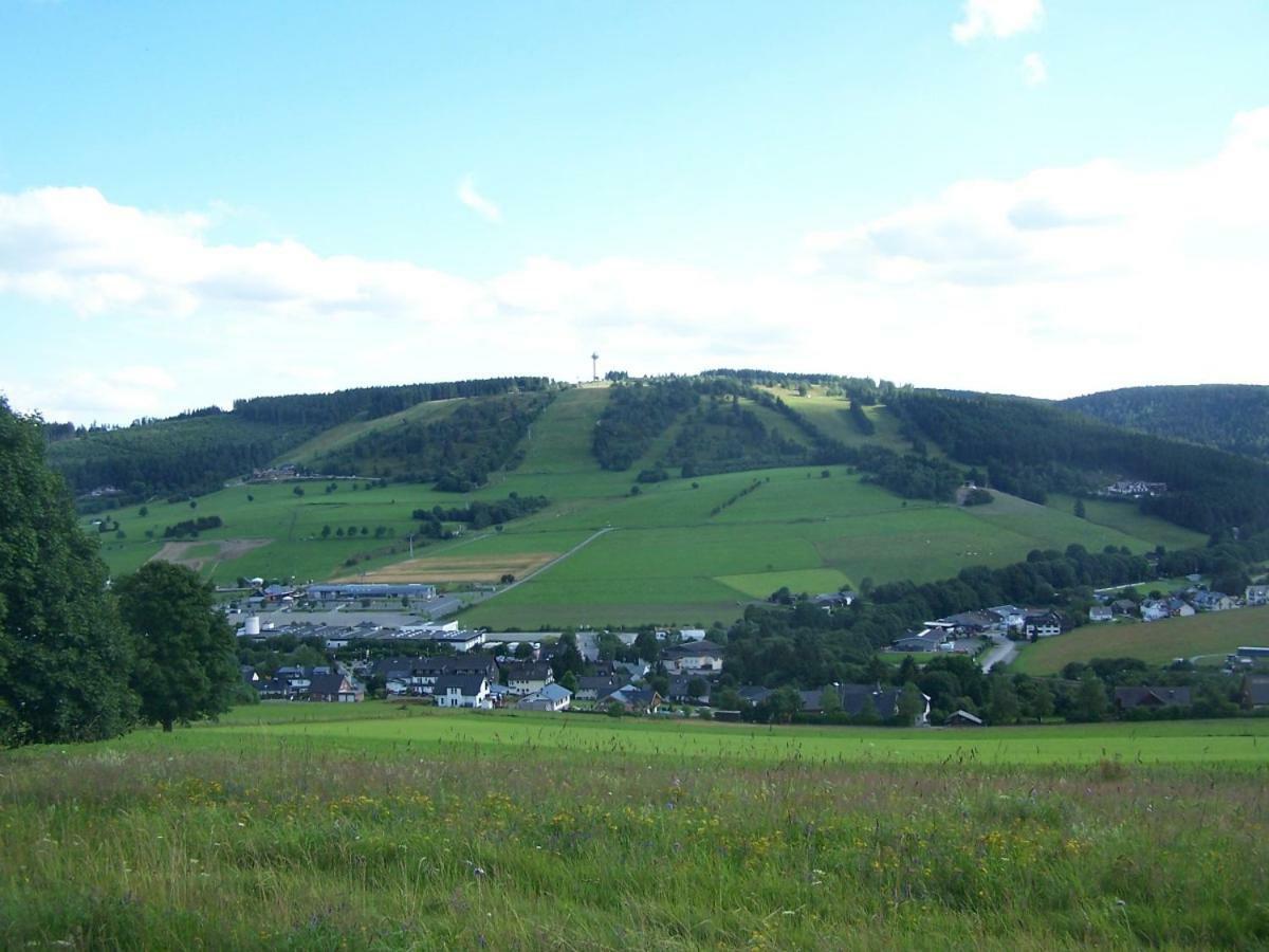 Sommerwind Apartment Willingen (Upland)